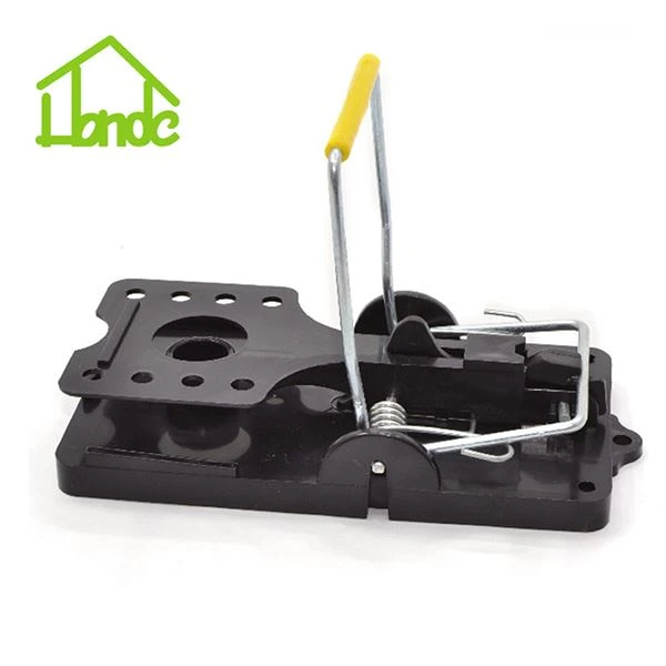 Plastic rat trap Plastic rat trap