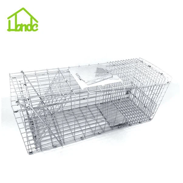 Collapsible cage trap Collapsible cage trap