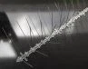Pointes anti-pigeons en plastique