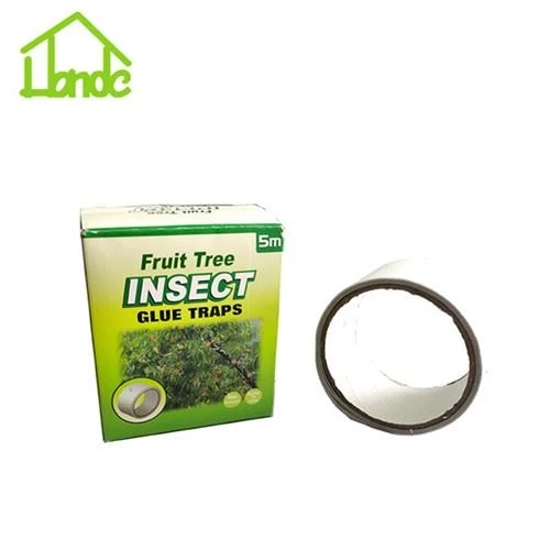 Pièges à colle pour insectes d'arbres fruitiers