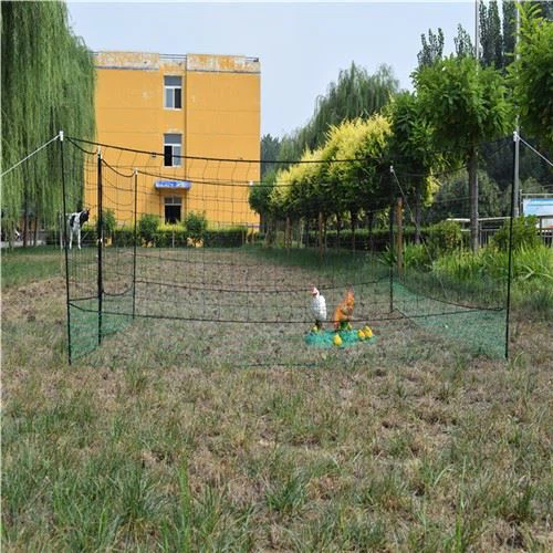 Clôture de poulet portable